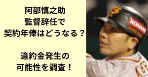 阿部慎之助