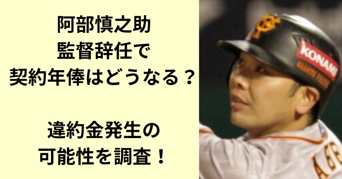 阿部慎之助