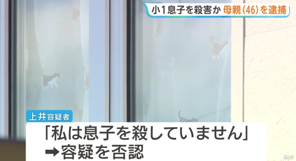 TBS NEWS